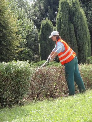 Bára - střihoruký Edward