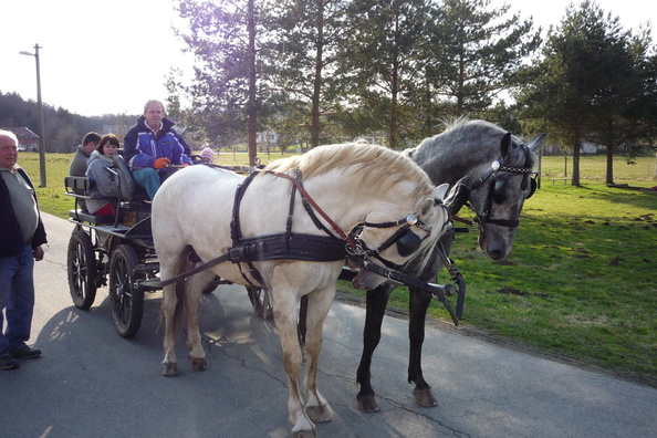 Události akce 2013 - fota