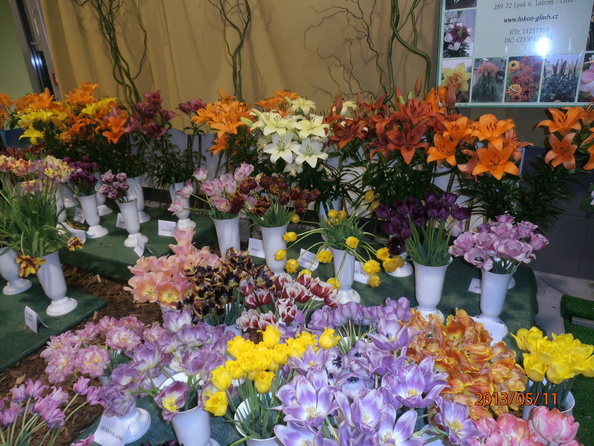 Události akce 2013 - fota