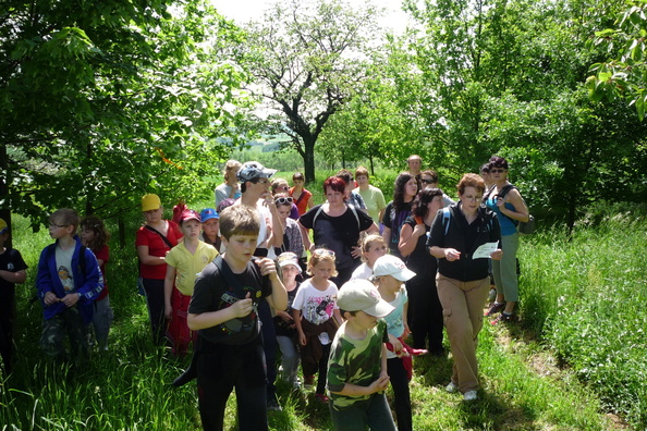 Události akce 2013 - fota