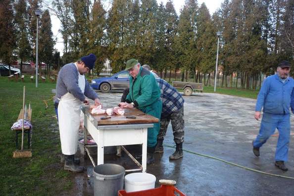 Události akce 2013 - fota