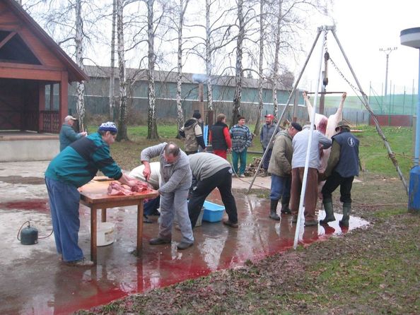 zahrádkáři 2[1].jpg